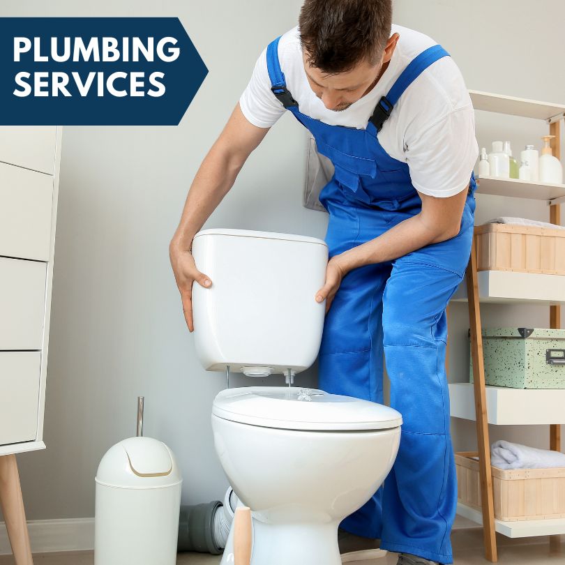 Plumbing Company in Riverview, FL